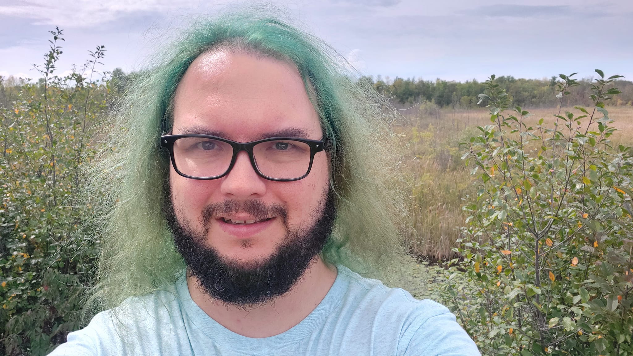 A man with green hair stands in front of a marsh, Photo 3